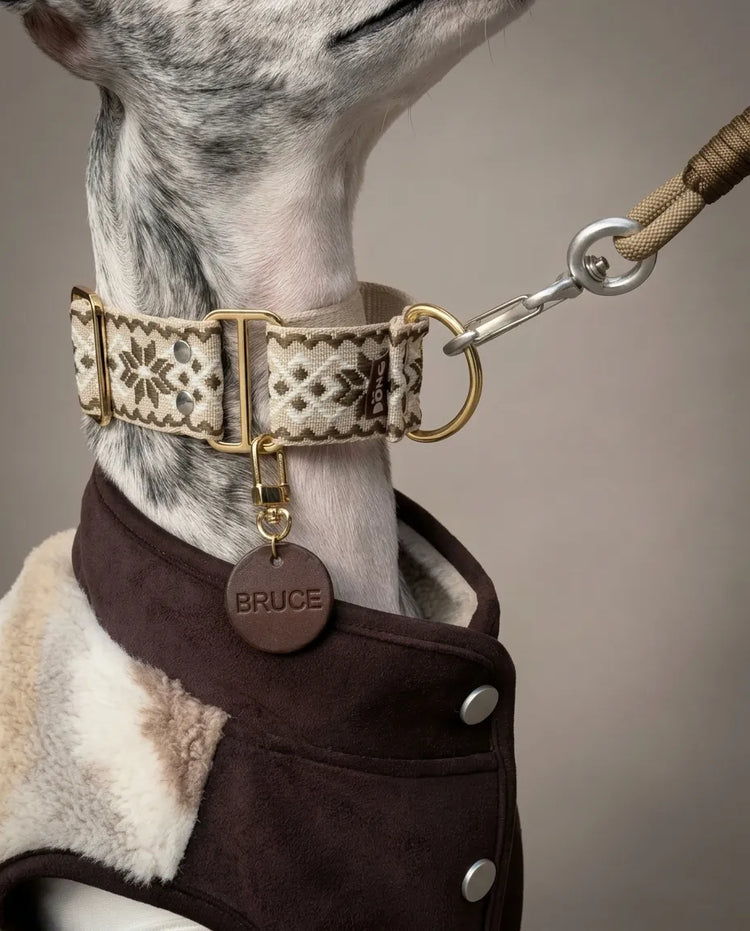 Petailor bespoke engraved leather dog collars and personalized pet necklaces. Premium handcrafted accessories and gear for dogs and cats.