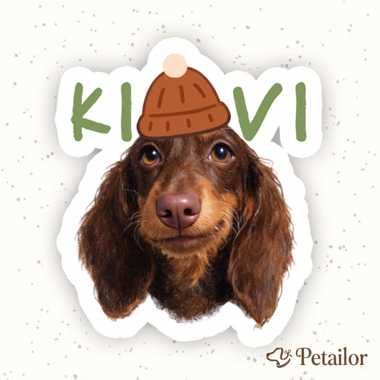 Custom Hand Drawn Pet Portrait