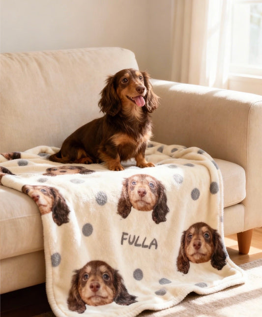 Cozy customized pet throw blanket spread on living room sofa with pet