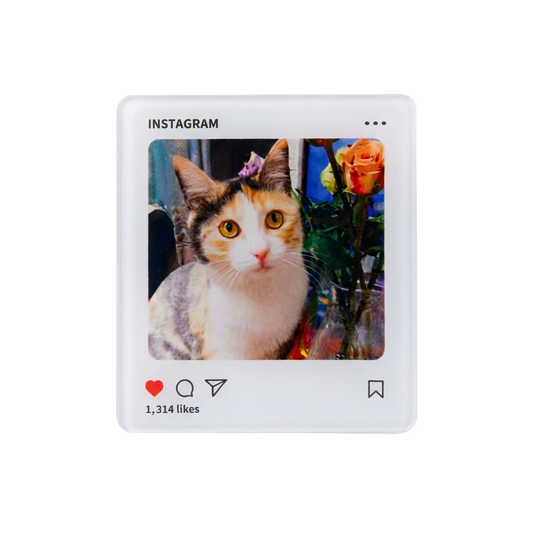 Imán de nevera acrílico personalizado con foto de mascota al estilo Instagram