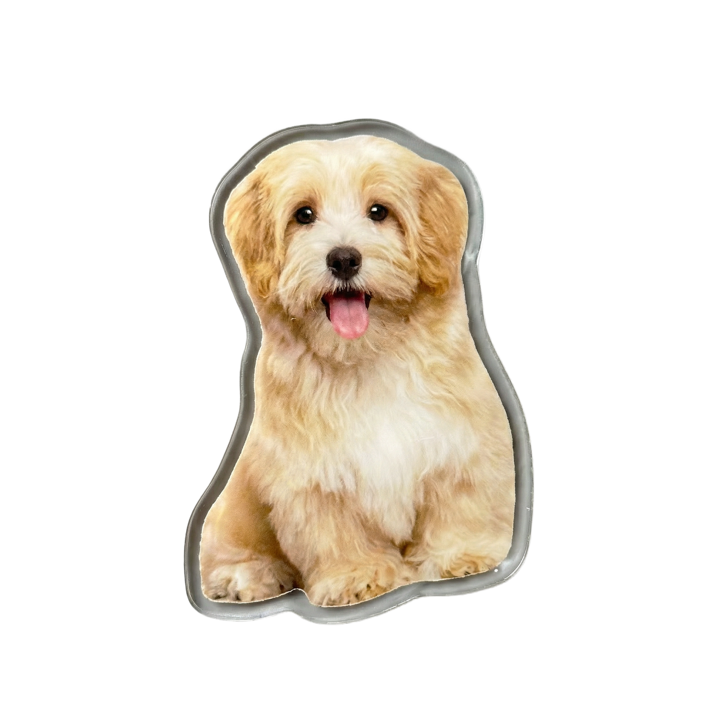 Imán acrílico personalizado para mascotas