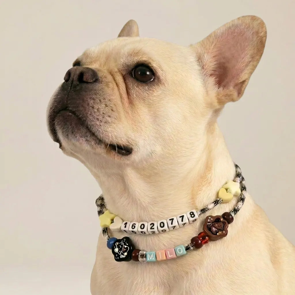 A French Bulldog wearing a custom Petailor star constellation name collar with vibrant beads, showcasing the fit for medium-sized dogs.
