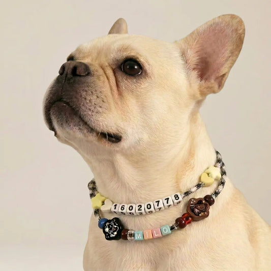 A French Bulldog wearing a custom Petailor star constellation name collar with vibrant beads, showcasing the fit for medium-sized dogs.