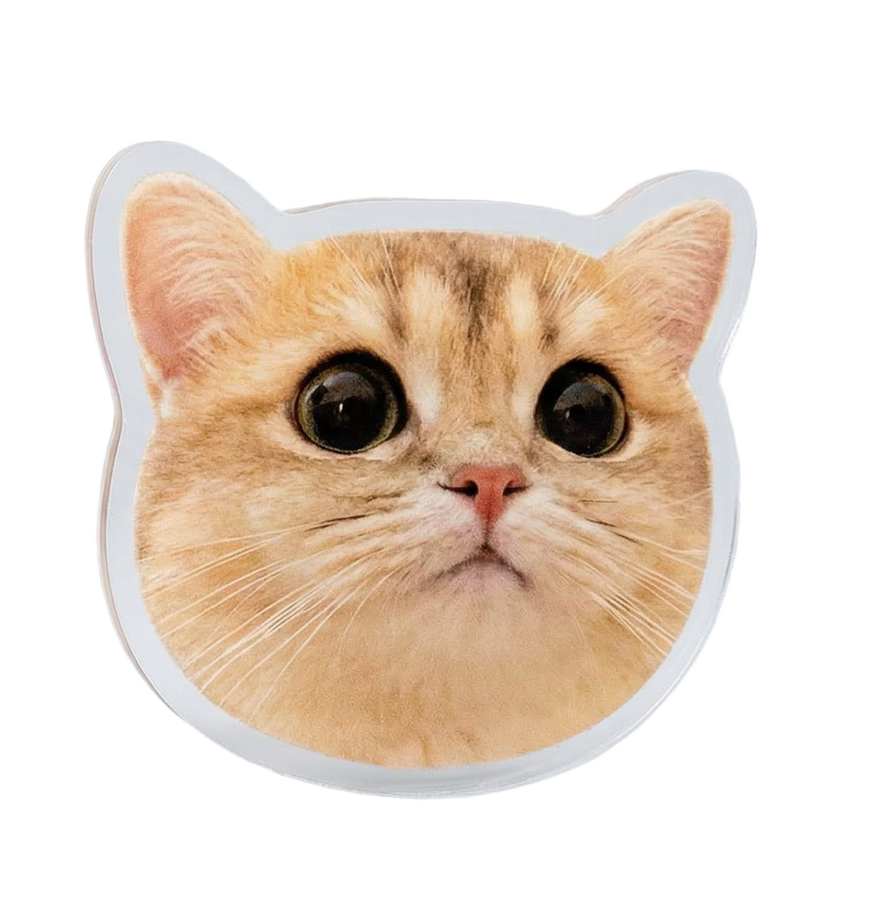 Imán acrílico personalizado para mascotas