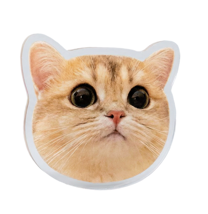 Imán acrílico personalizado para mascotas