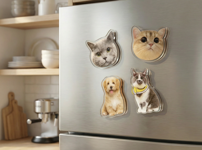 Imán acrílico personalizado para mascotas