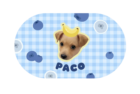 Personalized Waterproof Pet Feeding Mat
