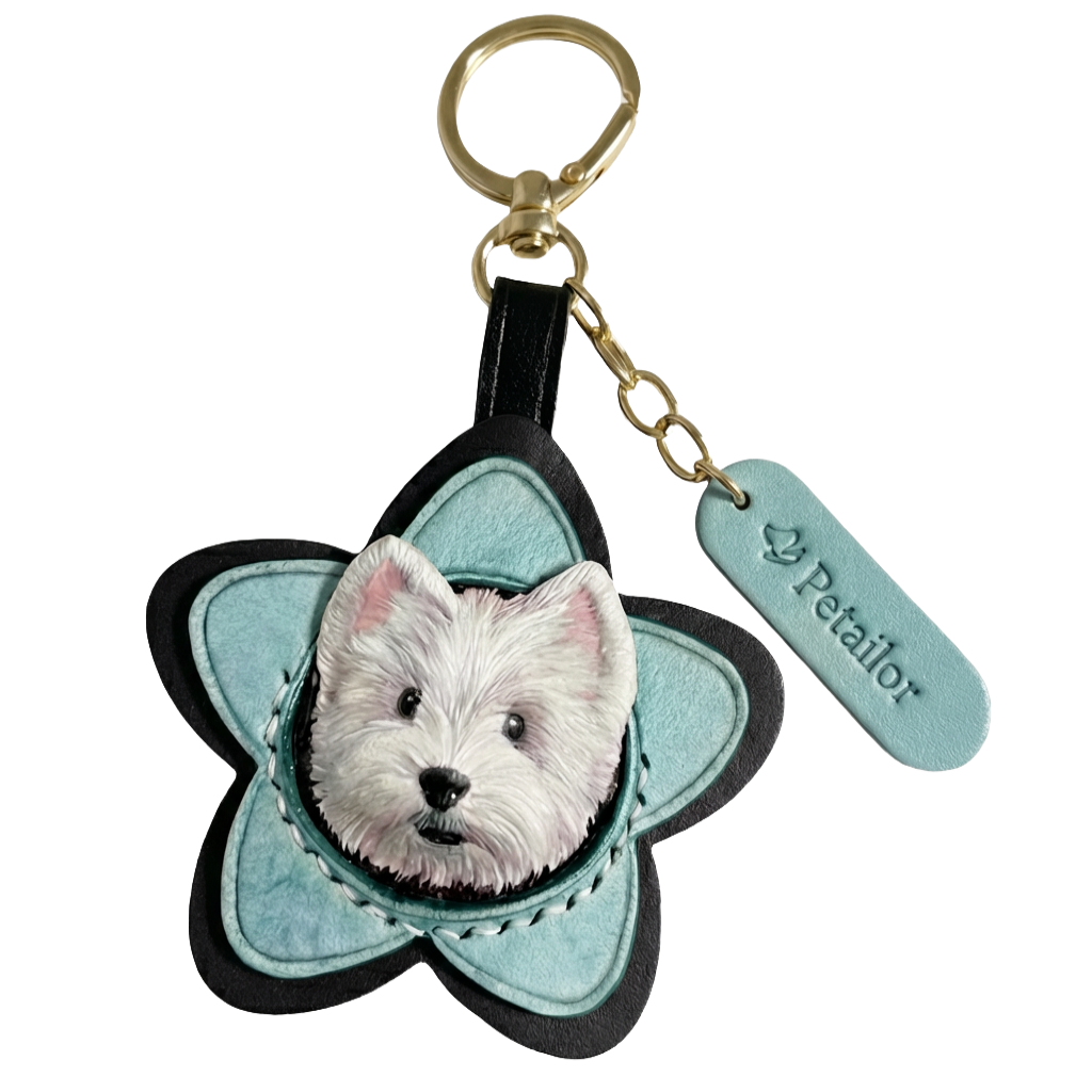 Luxury 3D hand-carved pet portrait in star-shaped leather - bespoke artisanal pet memorial artwork