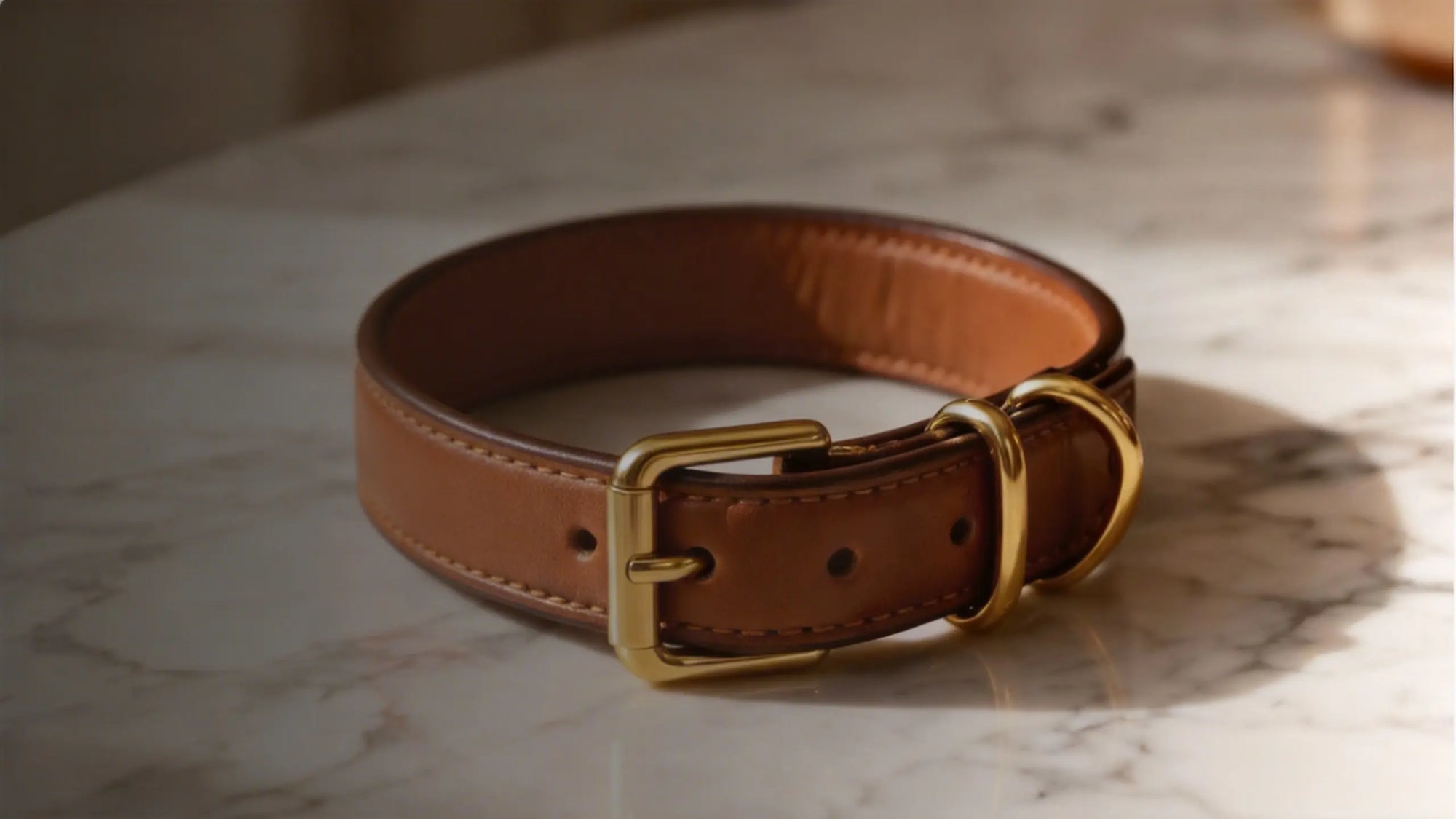 Petailor offers B2B brand partnerships, private label manufacturing, and bespoke corporate gifting design for custom pet accessories.