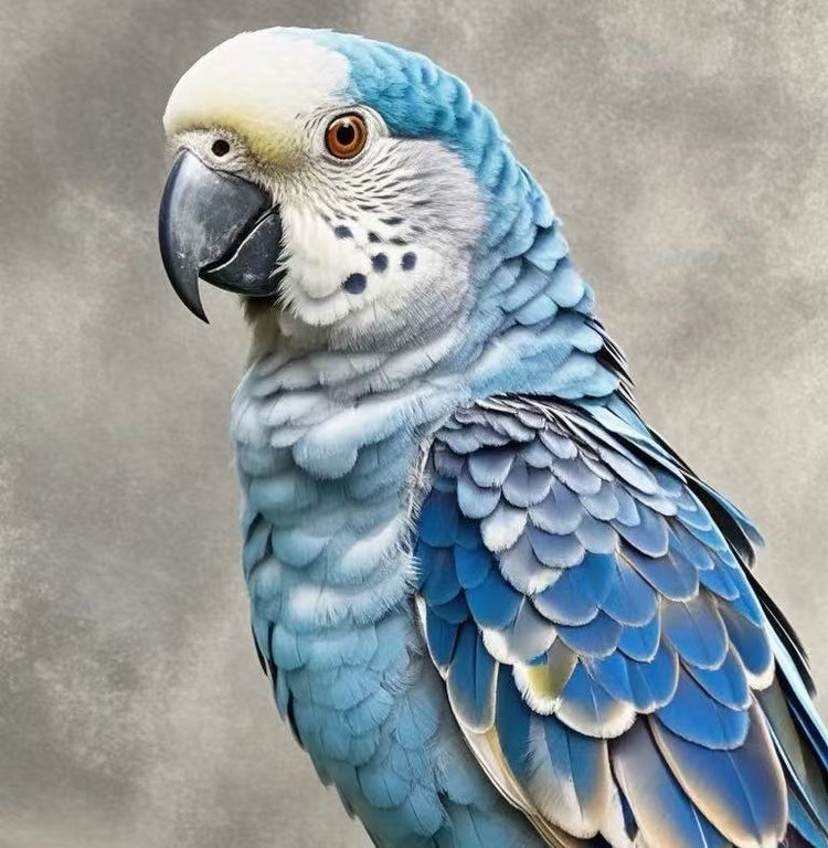 Azul the beautiful blue parrot in the #PetailorCREW gallery. We craft bespoke custom art for birds and exotic pets too.