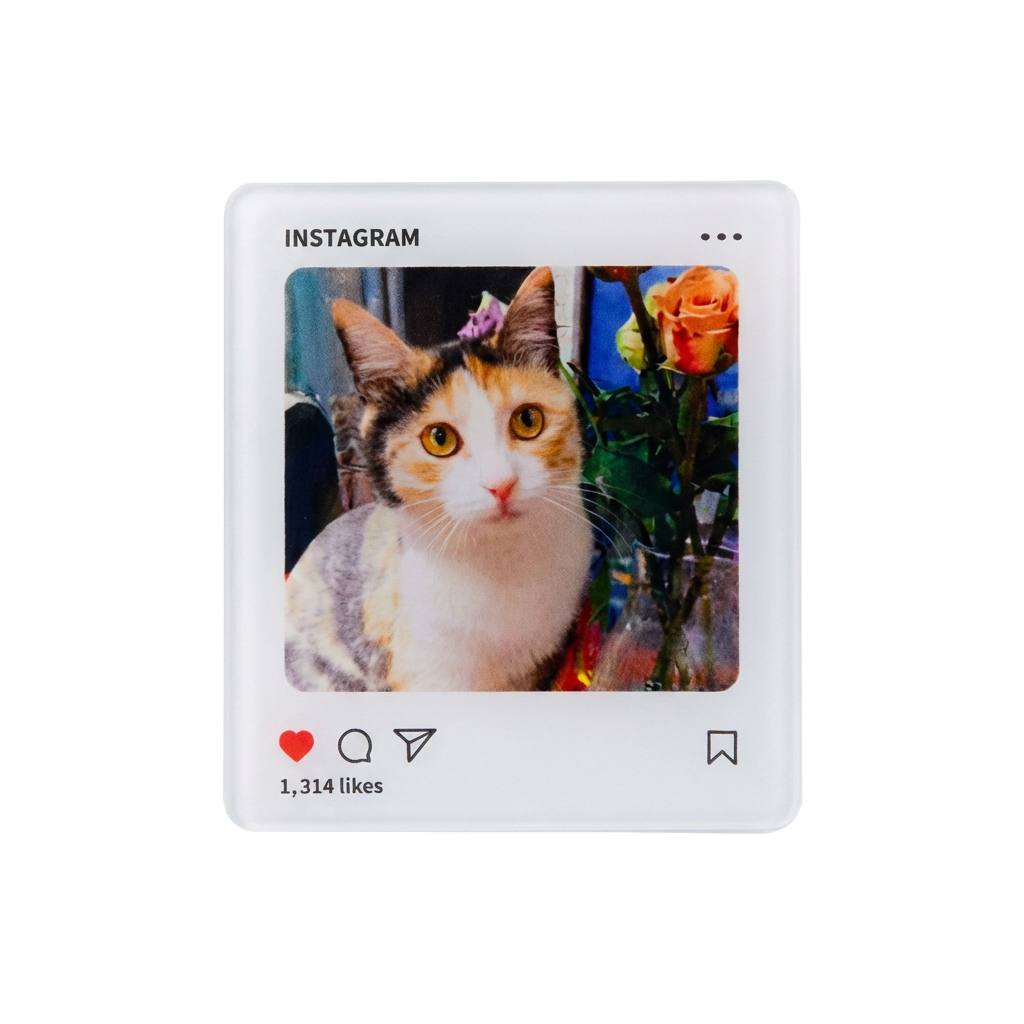 Acrylic Instagram-style custom pet photo fridge magnet - minimalist white polaroid design by Petailor