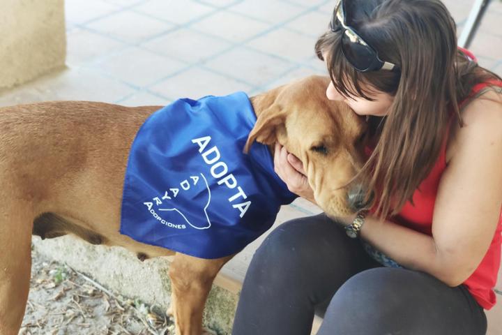 Petailor proudly donates a portion of our custom pet product sales to local animal shelters and dog adoption organizations.