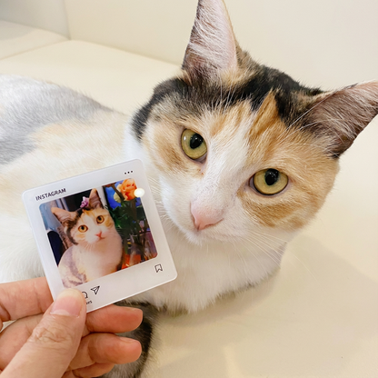 Real-life comparison of a Calico cat with its personalized Instagram-style acrylic fridge magnet