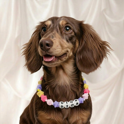 Small Dachshund wearing custom star constellation name collar - stylish pet jewelry by Petailor